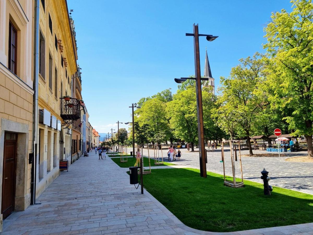 Apartment In A Historical House In The Center Of Levoča Εξωτερικό φωτογραφία